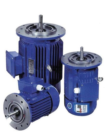 YVF2-labelled motor group